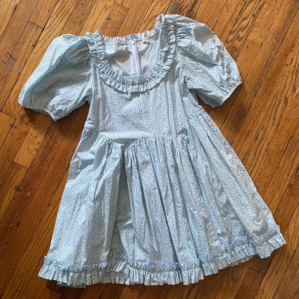 RARE Sandy Liang Egret Dress in Blue Floral